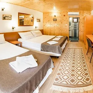 Pensiunea Casa Guest house Bucharest
