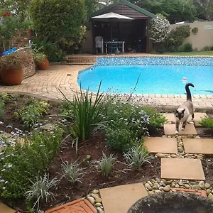 Calico Guest house Port Elizabeth