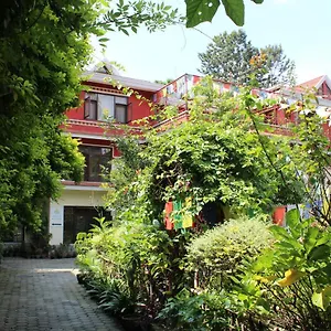 Rokpa Guest house Kathmandu