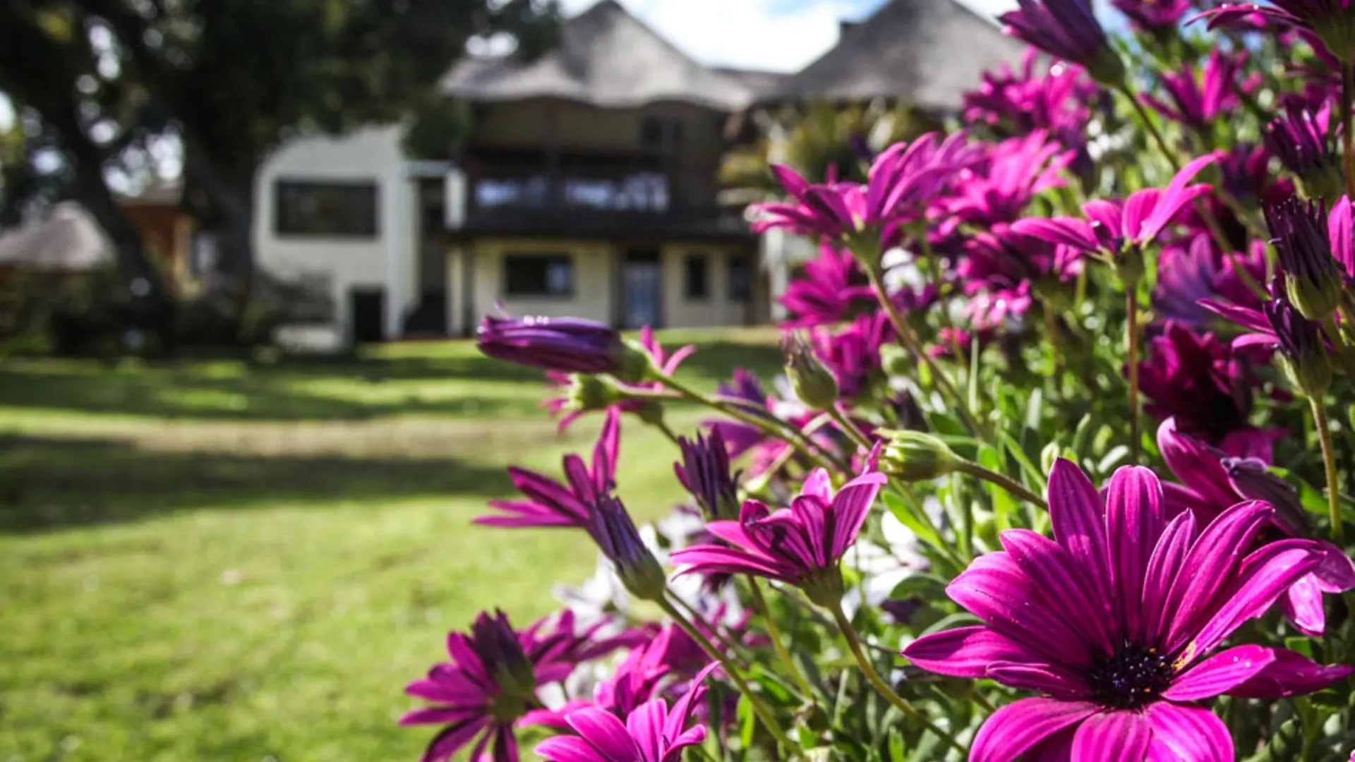 Guest house Winelands Villa Guesthouse And Cottages Somerset West